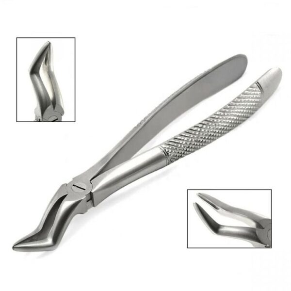 Bayonet Forceps – Professional Dental Surgical Instrument (Bulk Production) | HARDSTEEL INSTRUMENTS