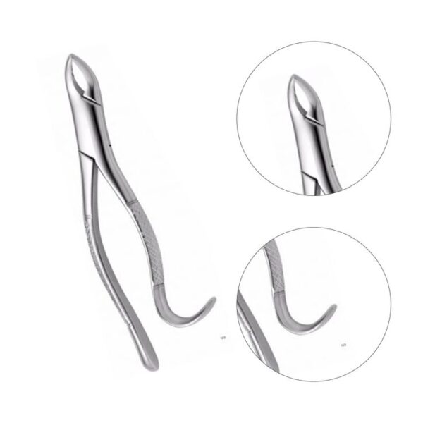 HARDSTEEL Dental Forceps